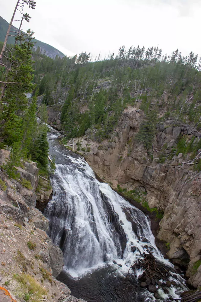 Gibbon Falls, a cascading waterfall flowing over rocky ledges surrounded by dense pine forest in Yellowstone National Park. The white water contrasts with the green trees, creating a picturesque natural scene.