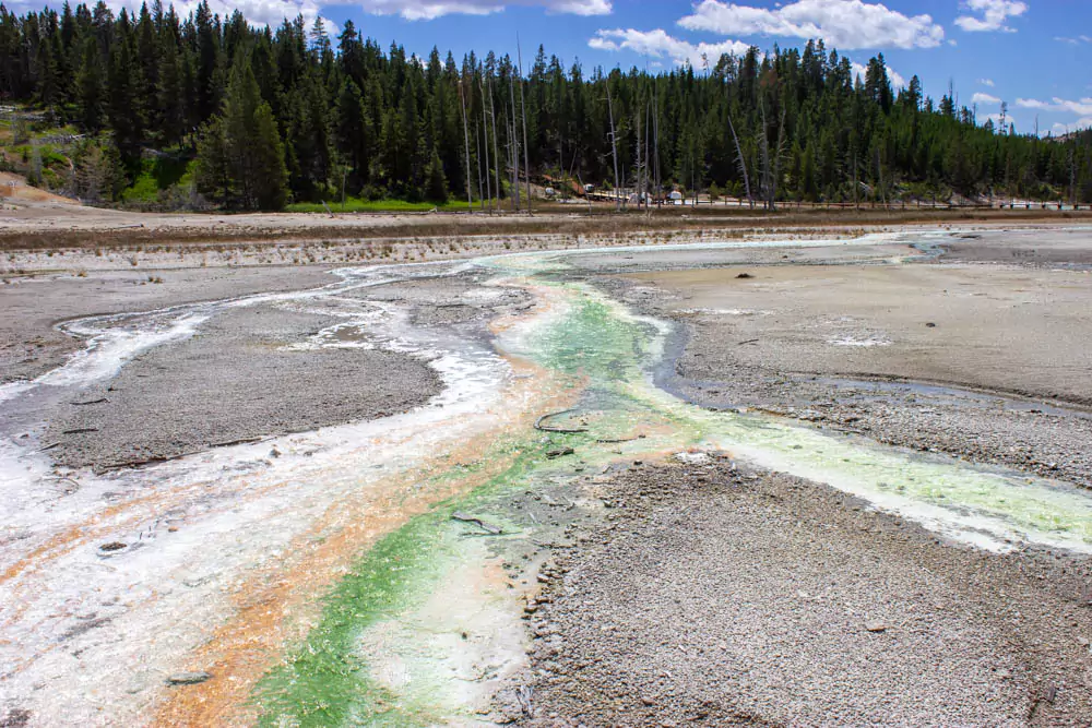 Colorful geothermal pools at Norris Geyser Basin in Yellowstone National Park, displaying vibrant green, orange, and white mineral deposits in the hot spring waters. The striking hues highlight the unique volcanic activity of the area.