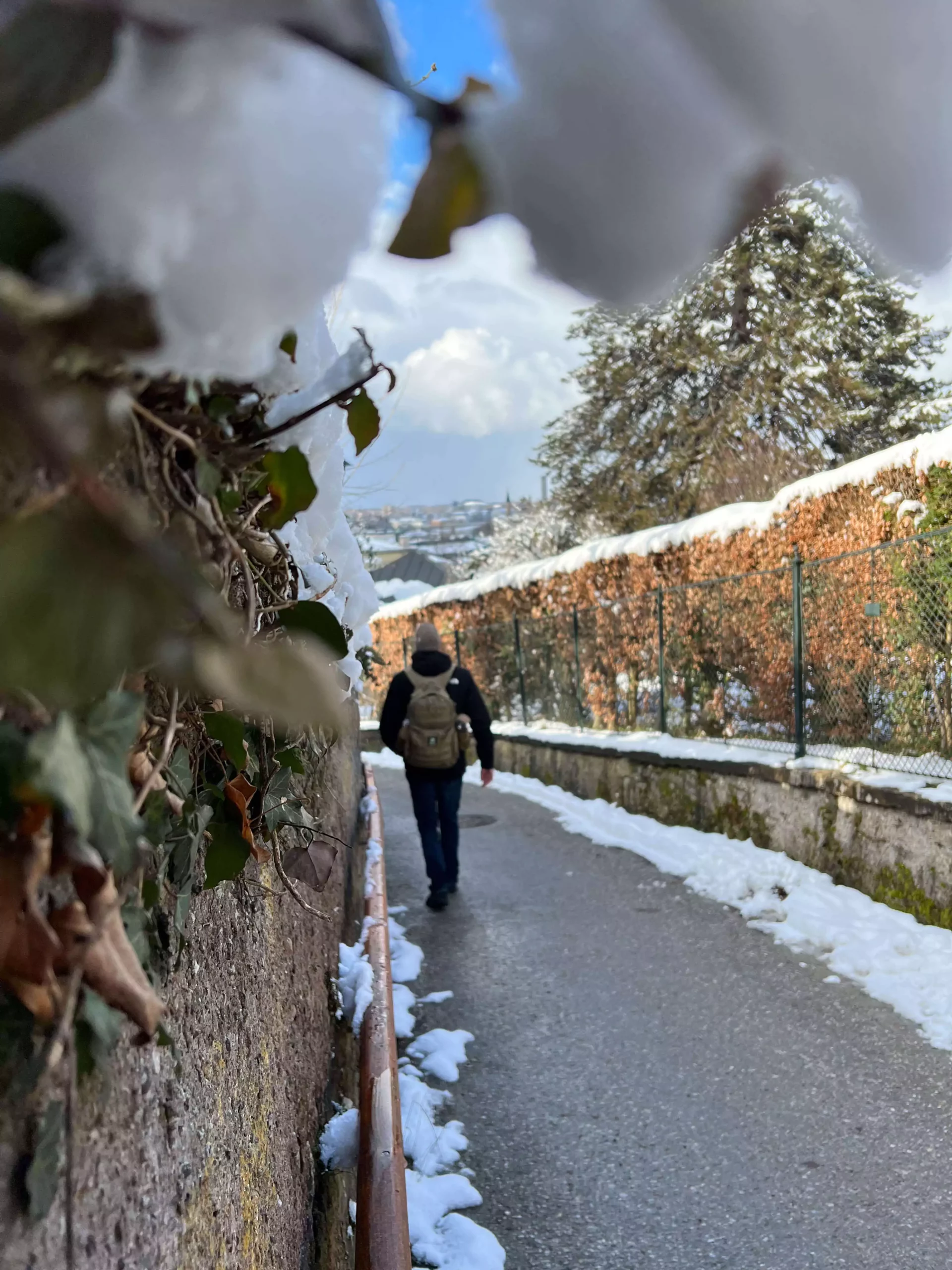 Zack walks along a snowy, fence-lined path in Salzburg, Austria, surrounded by a peaceful winter landscape. The snow-covered ground and bare trees create a serene, storybook setting as he moves through the quiet scene.